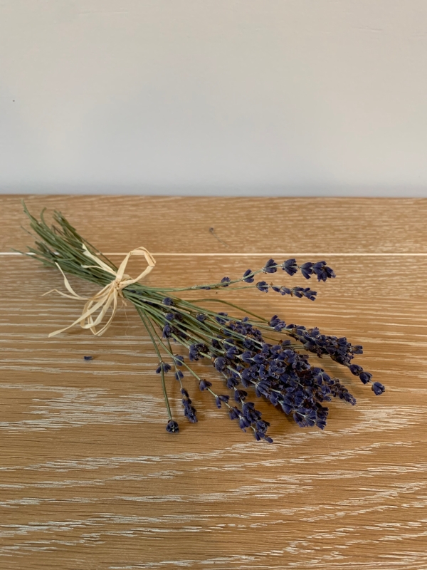 Dried Lavender