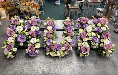 MUM Tribute Lilac and White
