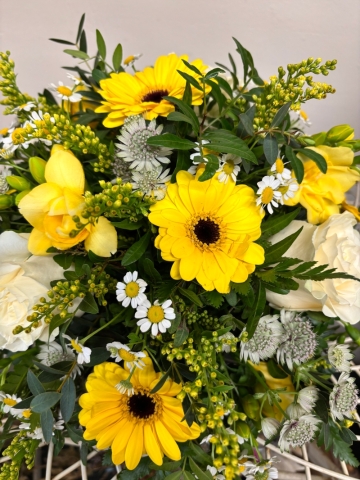 Yellow & White Posy