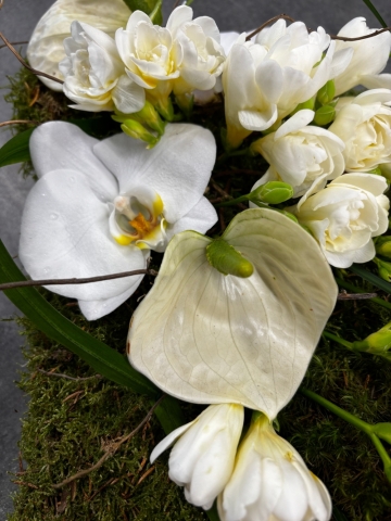 Simple White Pillow