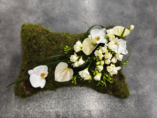 Simple White Pillow