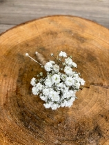 Simplicity   Buttonhole
