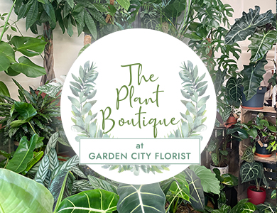 The Plant Boutique